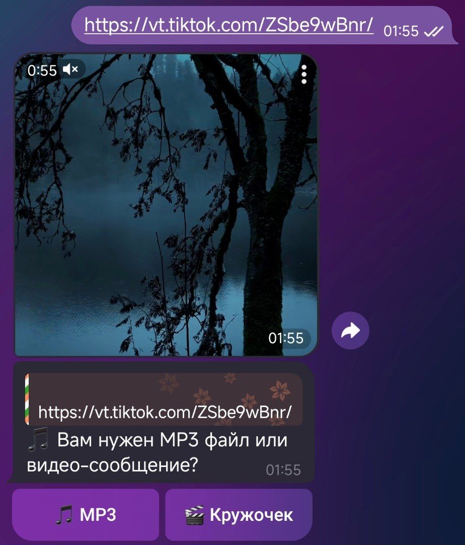 Чат с ботом TTVideo: отправлена ссылка на ролик TikTok, бот прислал видео и предлагает сохранить звук в MP3 или как видеосообщение.